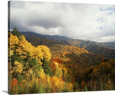 North Carolina, View of Great Smoky Mountains National Park in autumn