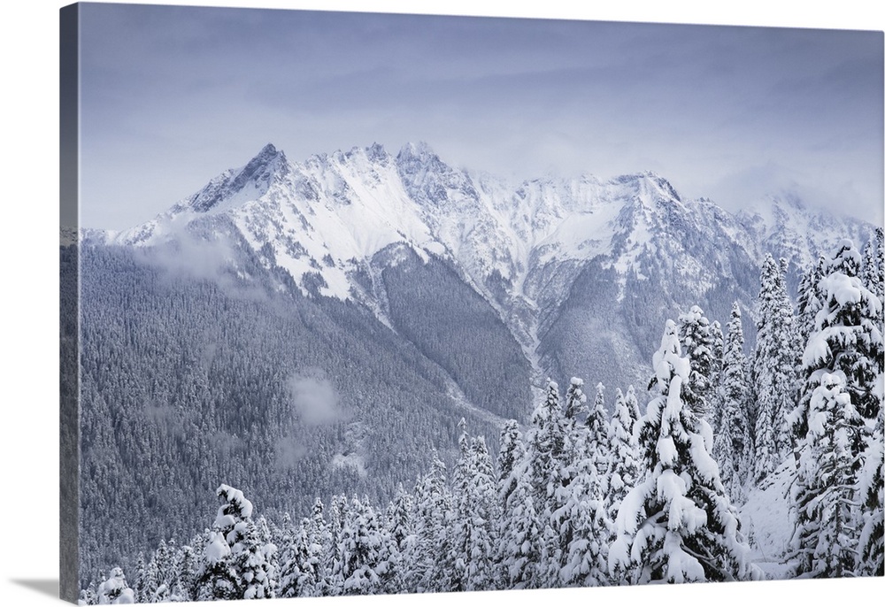 North Cascades after fresh snowfall. Mount Sefrit and Nooksack Ridge in the distance, Washington State