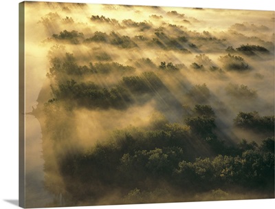 North Dakota, Missouri River Valley. Morning fog settles in the treetops
