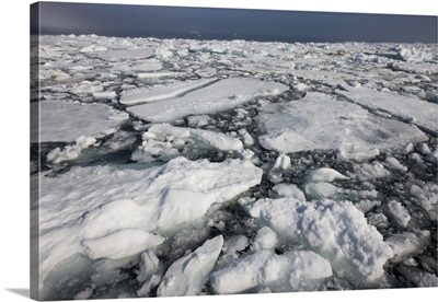 Norway, Svalbard, Edgeoya Island, Dense first year pack ice on summer morning