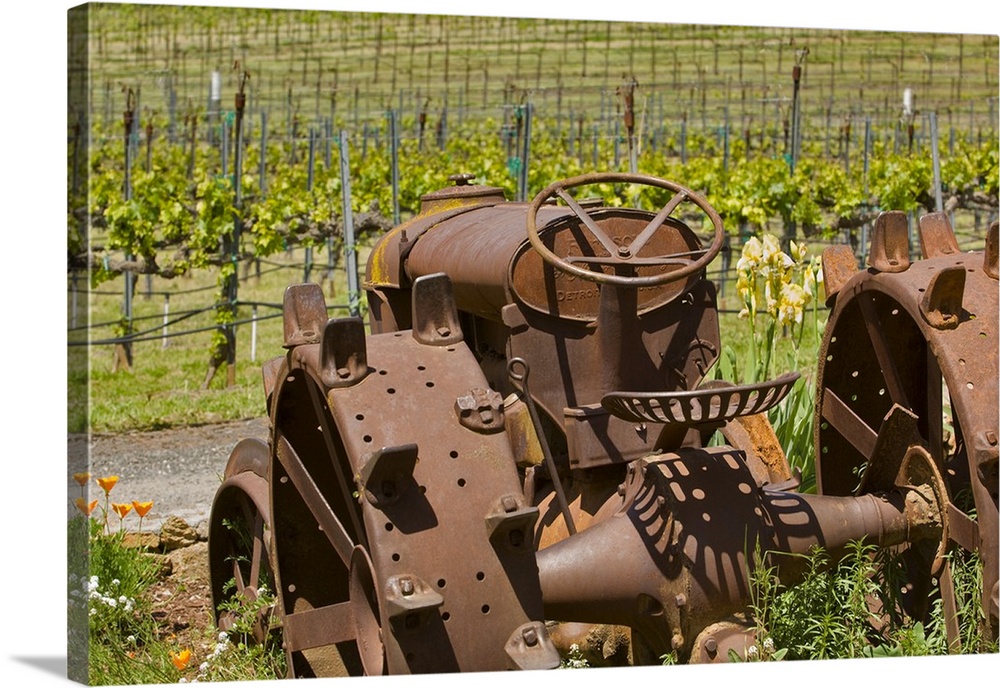 Old rusty iron tractor at Vino Naceto Winery, near Plymouth, Amador county, California.