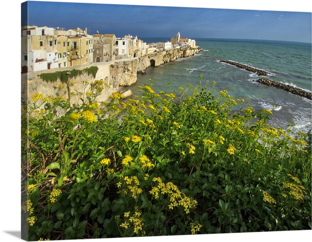 Old town of Vieste cityscape with medieval church at the tip of the peninsula of this fishing village in Gargano.