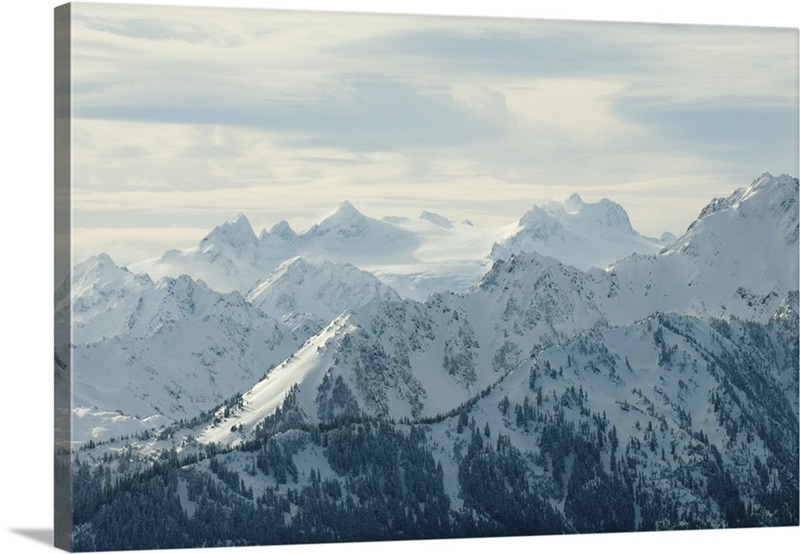 Olympic Mountains Viewed From Hurricane Ridge, Mount Olympus And 