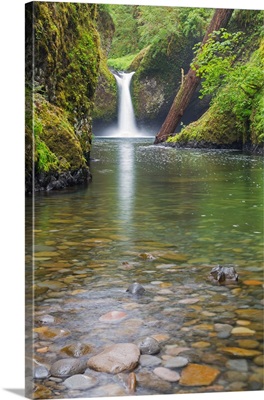 Or, Columbia River Gorge National Scenic Area, Punch Bowl Falls