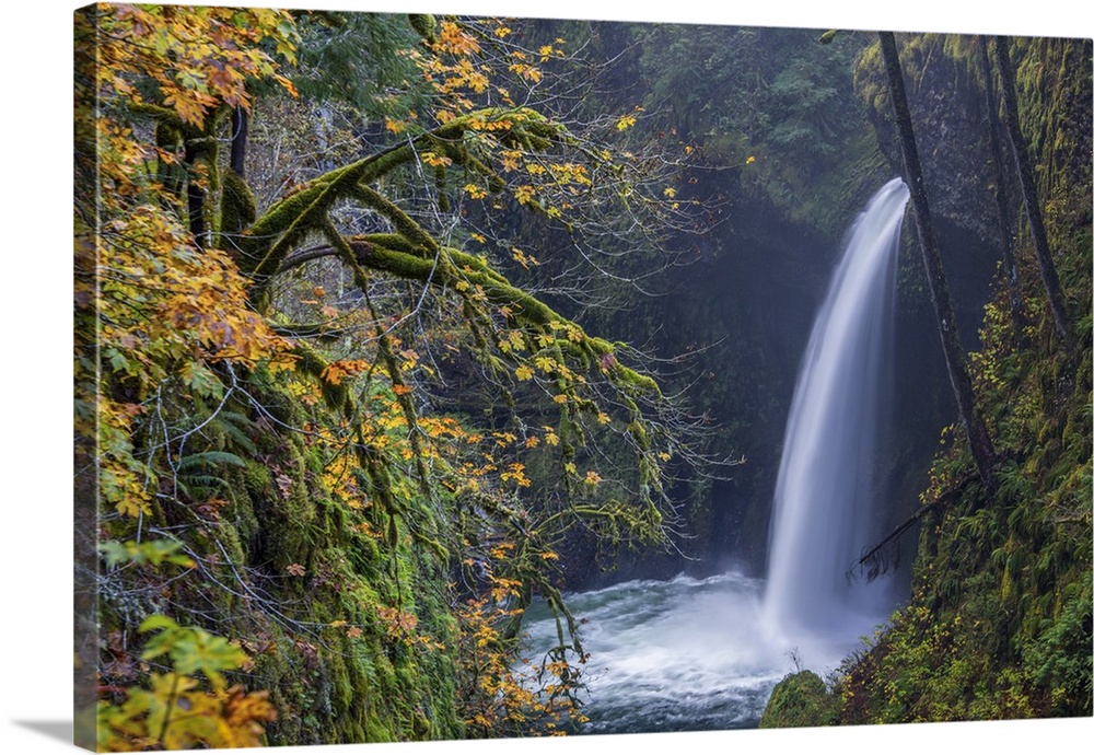 USA, Oregon. Autumn fall color and mist at Metlako Falls on Eagle Creek in the Columbia Gorge.