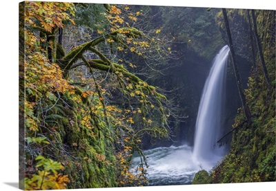 Oregon. Autumn fall color and mist at Metlako Falls on Eagle Creek in the Columbia Gorge
