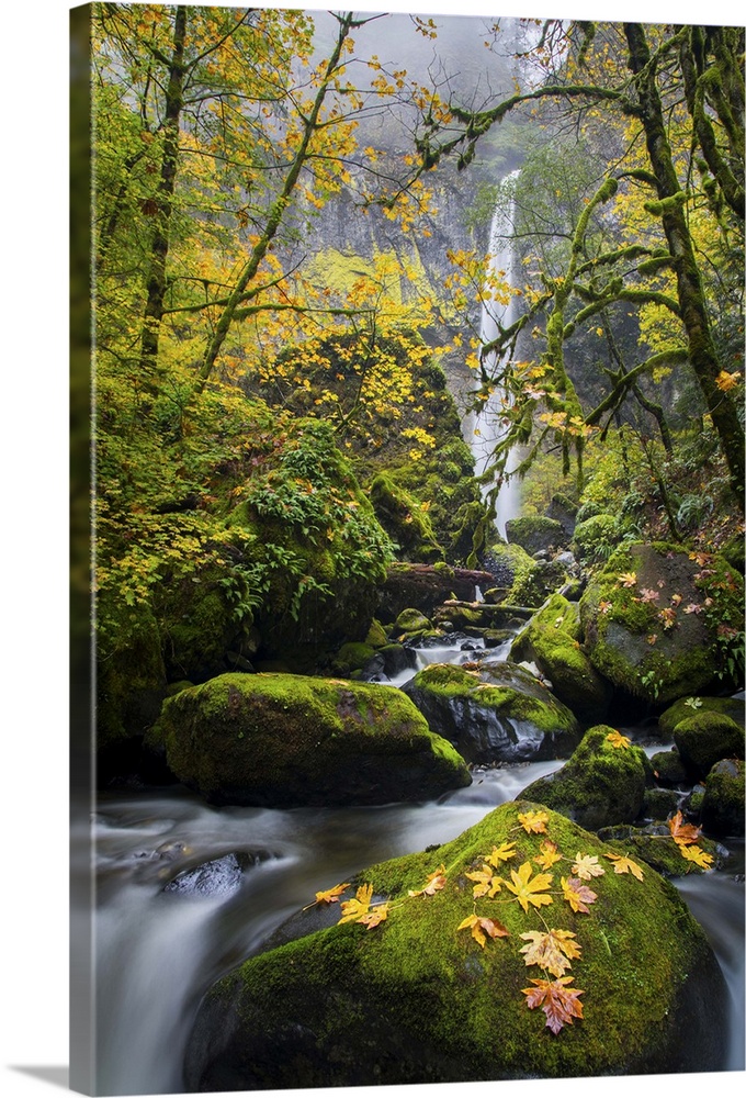 USA, Oregon. View from below Elowah Falls on McCord Creek in autumn in the Columbia Gorge.