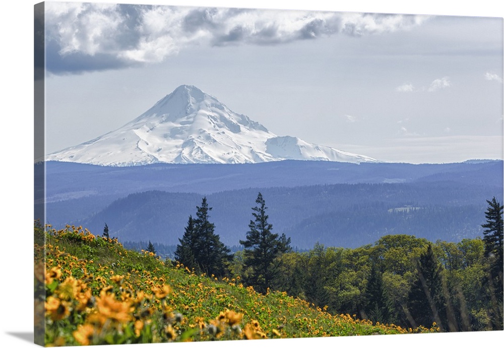 Oregon, Columbia Gorge, Tom McCall Nature Preserve, Mt. Hood from McCall Point.