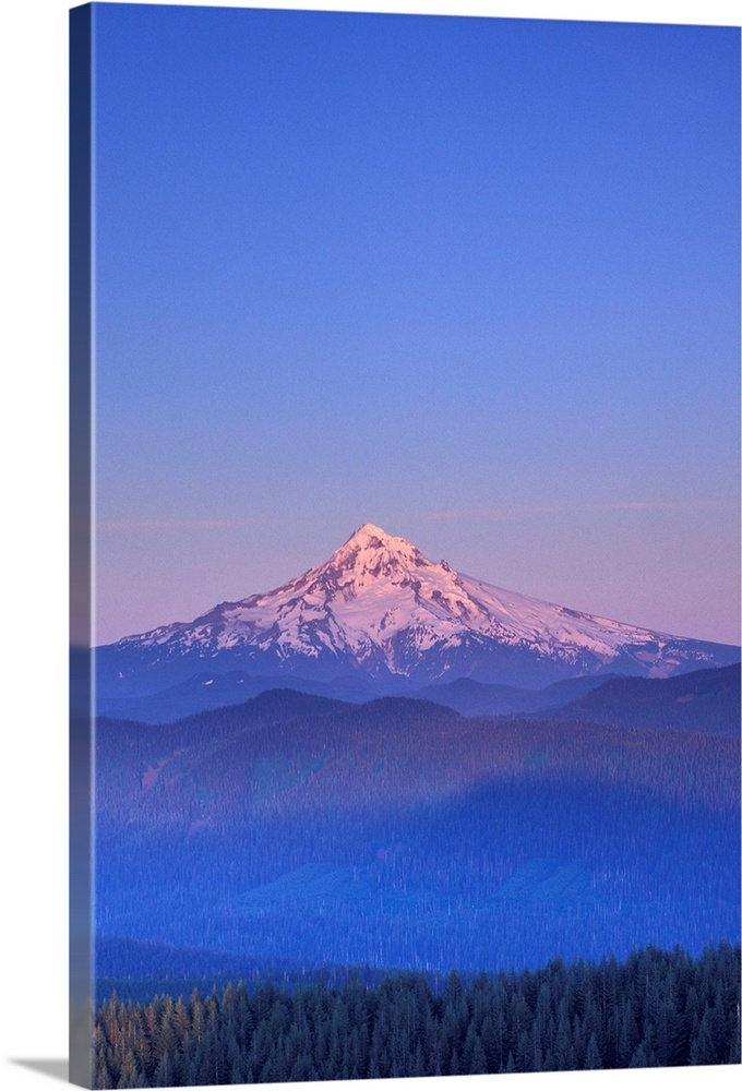 USA, Oregon, Columbia River Gorge National Scenic Area, Mount Hood.as seen from Larch Mountain