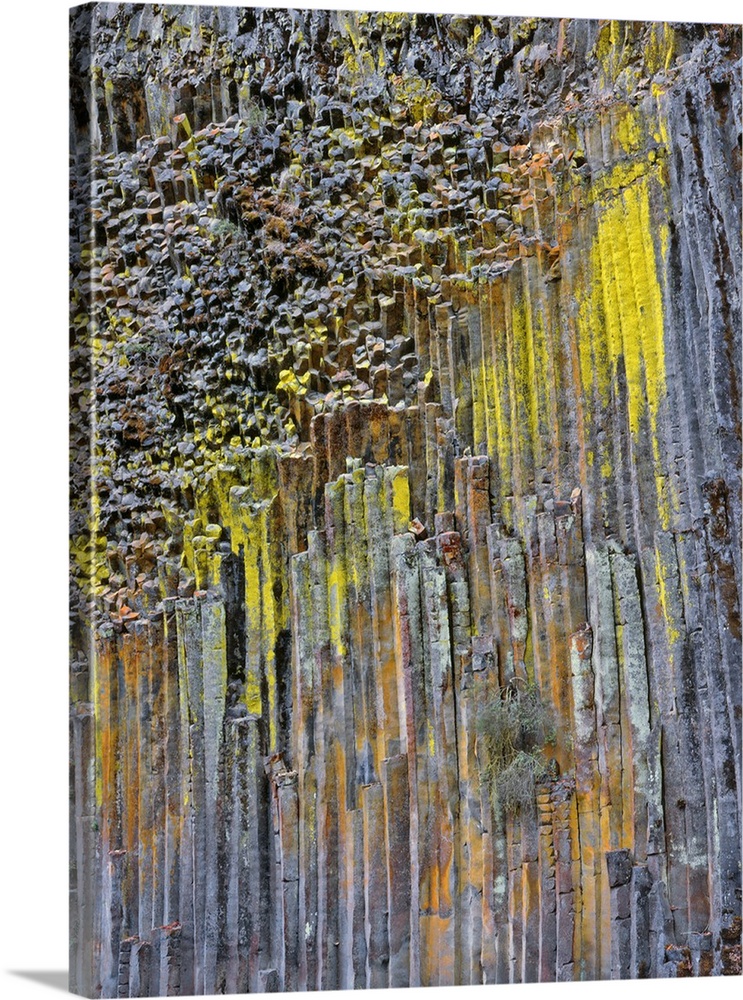 Columnar basalt covered with lichen along North Umpqua River in Douglas County Oregon