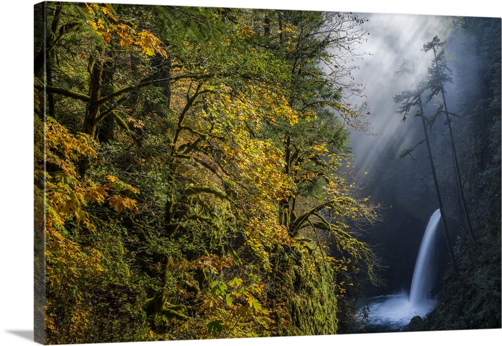 USA, Oregon. Autumn fall color and sun-streaked mist at Metlako Falls on Eagle Creek in the Columbia Gorge.
