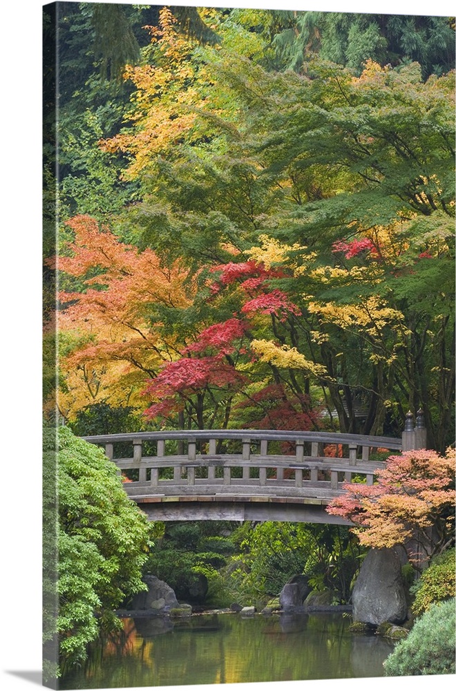 USA, Oregon, Portland. Wooden bridge over pond at Portland Japanese Garden.