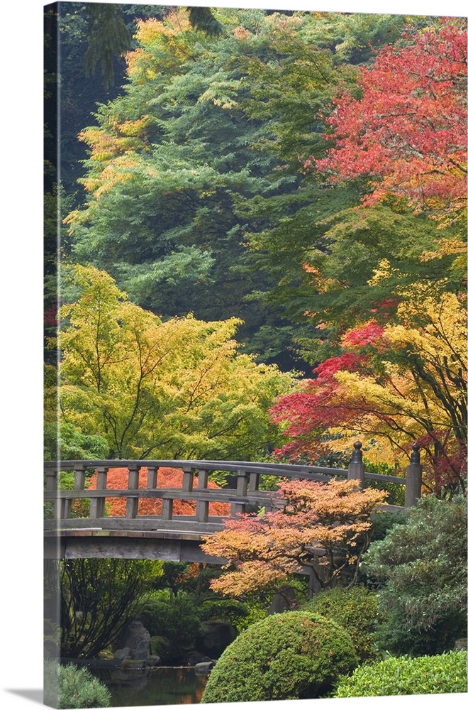 USA, Oregon, Portland. Wooden bridge over pond at Portland Japanese Garden.