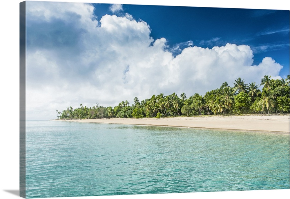 Palm fringed white sand beach in Ha'apai, Ha'apai islands, Tonga, South Pacific.