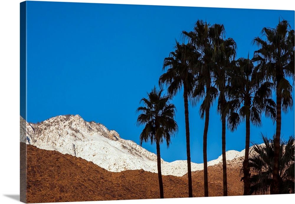 Palm Springs,California