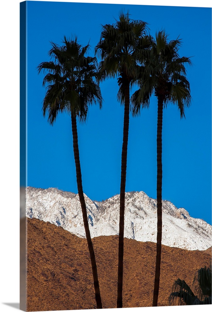 Palm Springs,California