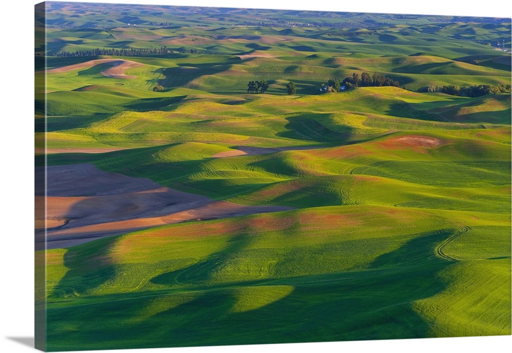 A view of the Palouse farm lands from Steptoe Butte in Washington State.
