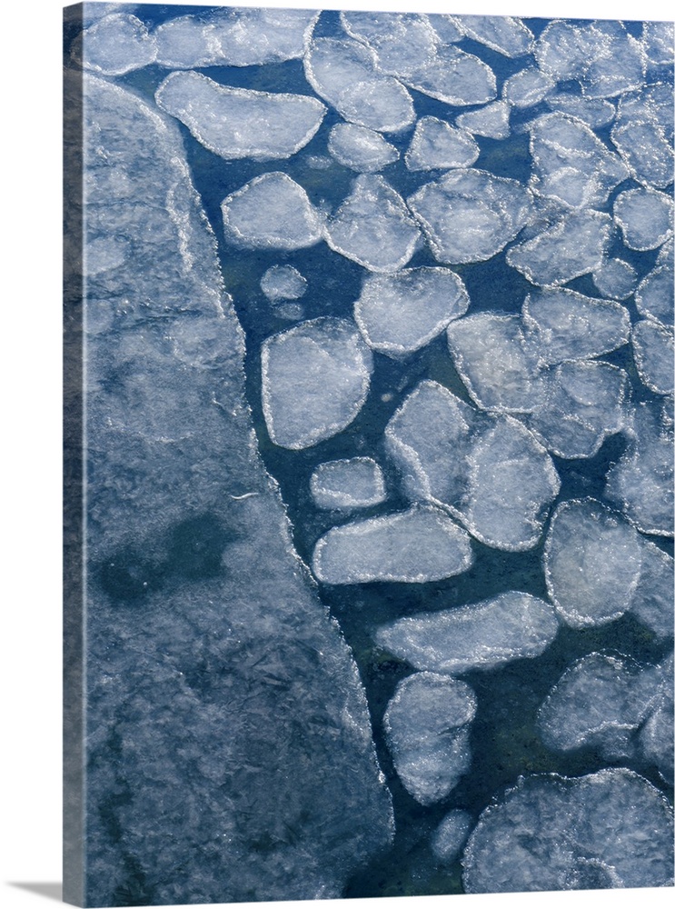 Pancake ice, process of forming of sea ice. Coast of Colesbukta part of Isfjorden during winter, on the island of Spitsber...