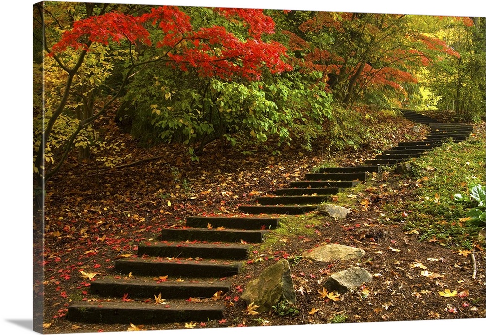 Path through a park in Autumn