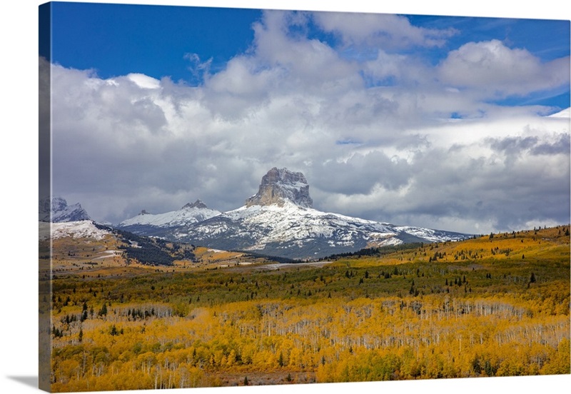 Peak Fall Color In Aspen Groves Below Chief Mountain In Glacier ...