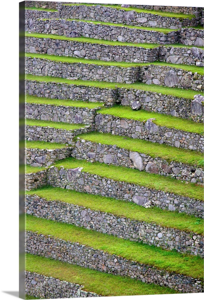 Americas, South America, Peru, Machu Picchu. The ancient citadel of Machu Picchu, a UNESCO World Heritage Site.