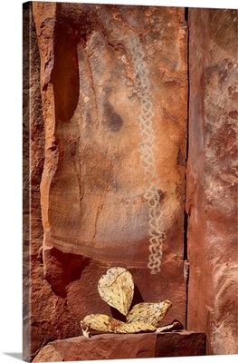 Pictographs, Roasting Pit Site, Palatki Heritage Site, Coconio National Forest, Arizona