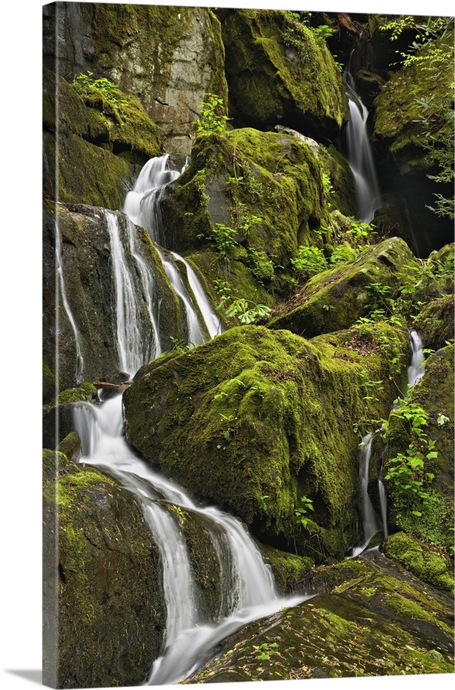 Seasonal cascade, Place of a Thousand Drips, Great Smoky Mountains National Park, Tennessee.