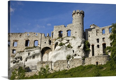 Poland, Close-up of Ogrodzieniec Castle