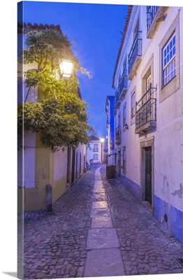 Portugal, Obidos, Cobblestone Street in the Historic Center at Dawn