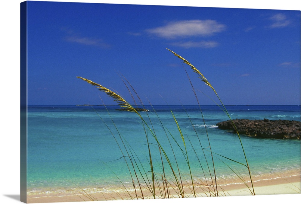 Pristine beach, Long Island, Bahamas.