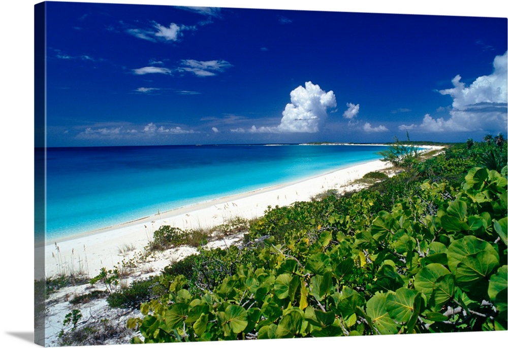 Pristine beach on Conception Island, Long Island, Bahamas.