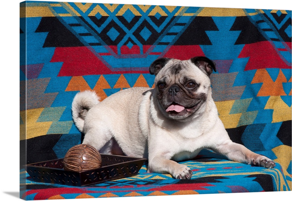 Pug lying on southwestern blanket