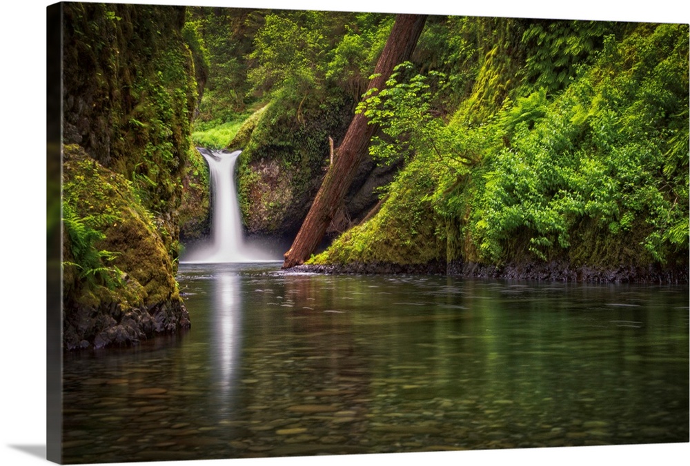 USA, Oregon, Hood River County. Punch Bowl Falls along Eagle Creek in the Columbia River Gorge.