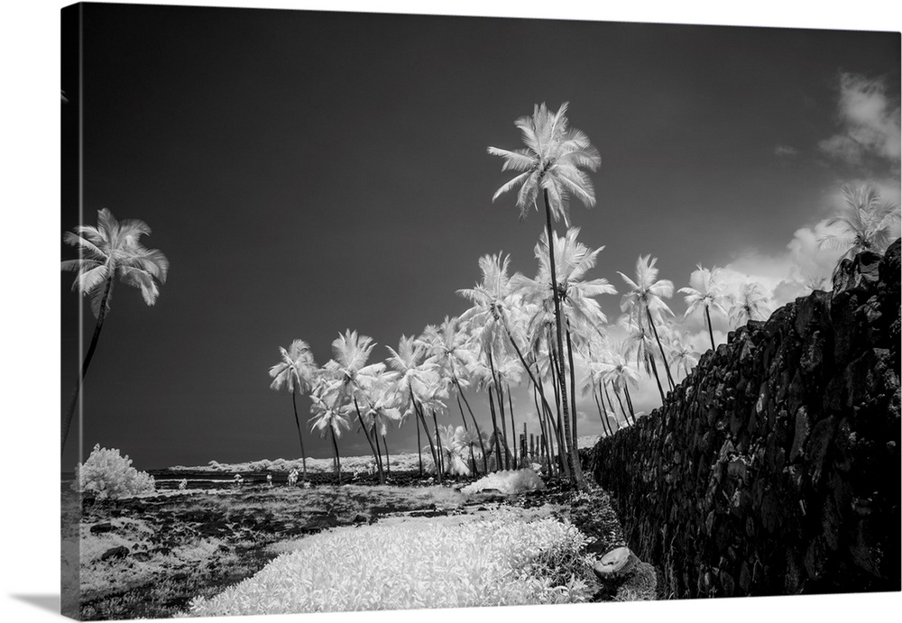 Pu'uhonua o Hanaunau, The Big Island, Hawaii, USA