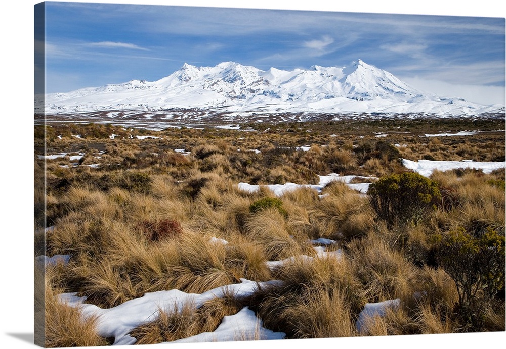 Rangipo Desert and Mt Ruapehu, Central Plateau, North Island, New Zealand