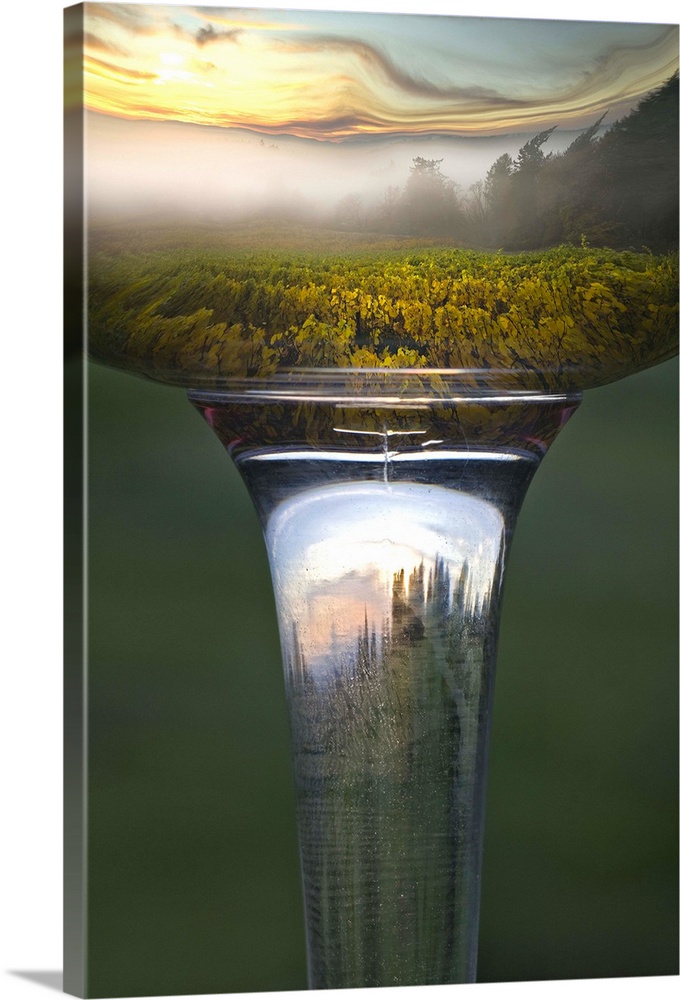 Reflection of vineyard landscape in Riedel Oregon Pinot Noir wine glass with wine.