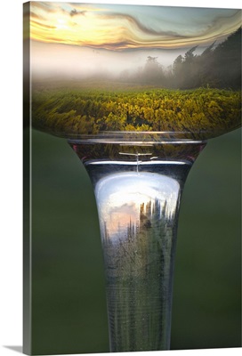 Reflection of vineyard landscape in Riedel Oregon Pinot Noir wine glass with wine