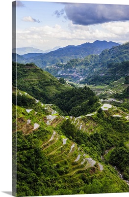 rice terraces of Banaue, Northern Luzon, Philippines