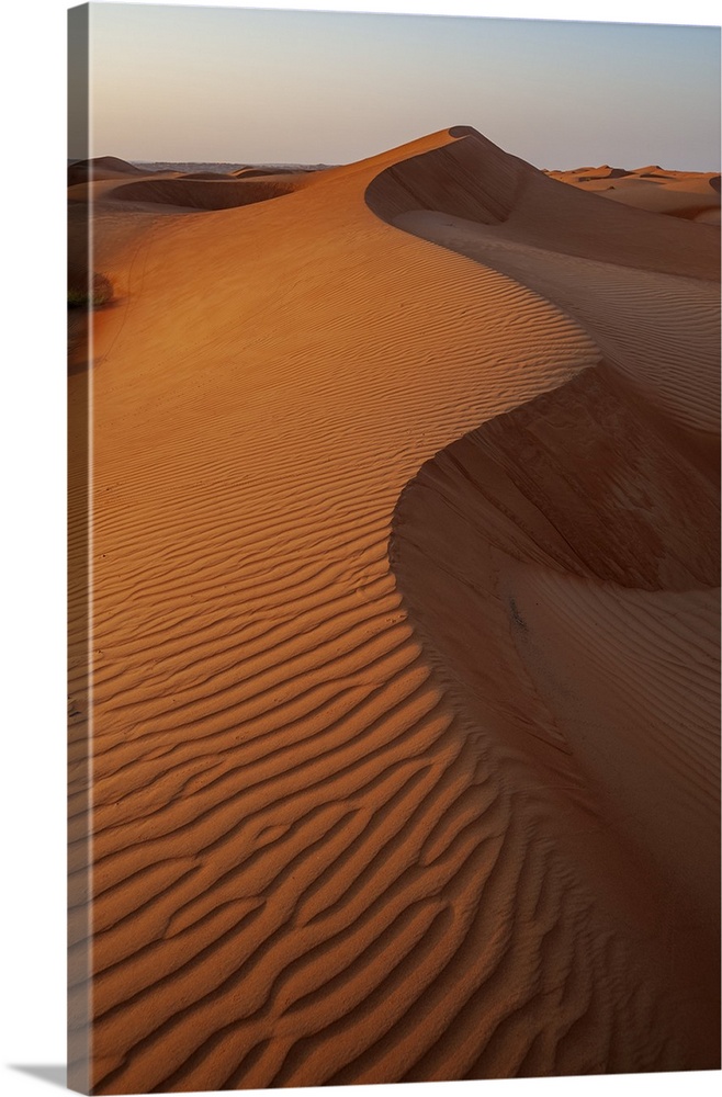 Rippled dunes in the Wahiba Sands at sunset. Wahiba Sands, Arabian Peninsula, Oman.