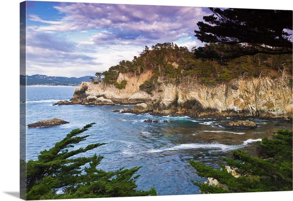 Rocky cliff along the Cypress Grove Trail, Point Lobos State Reserve, Carmel, California USA