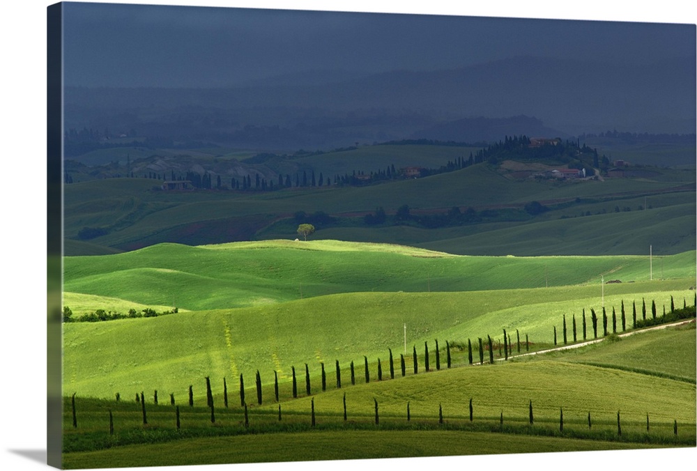 Rolling agricultural farm fields and dappled sunlight, Tuscany, Italy.