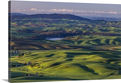 Rolling Hills With Barns From Steptoe Butte Near Colfax, Washington State, USA