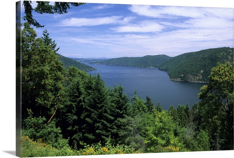Saanich Inlet, Vancouver Island, British Columbia | Great Big Canvas