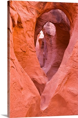 Sandstone Formations In Peek-A-Boo Gulch, Grand Staircase-Escalante, Utah, USA