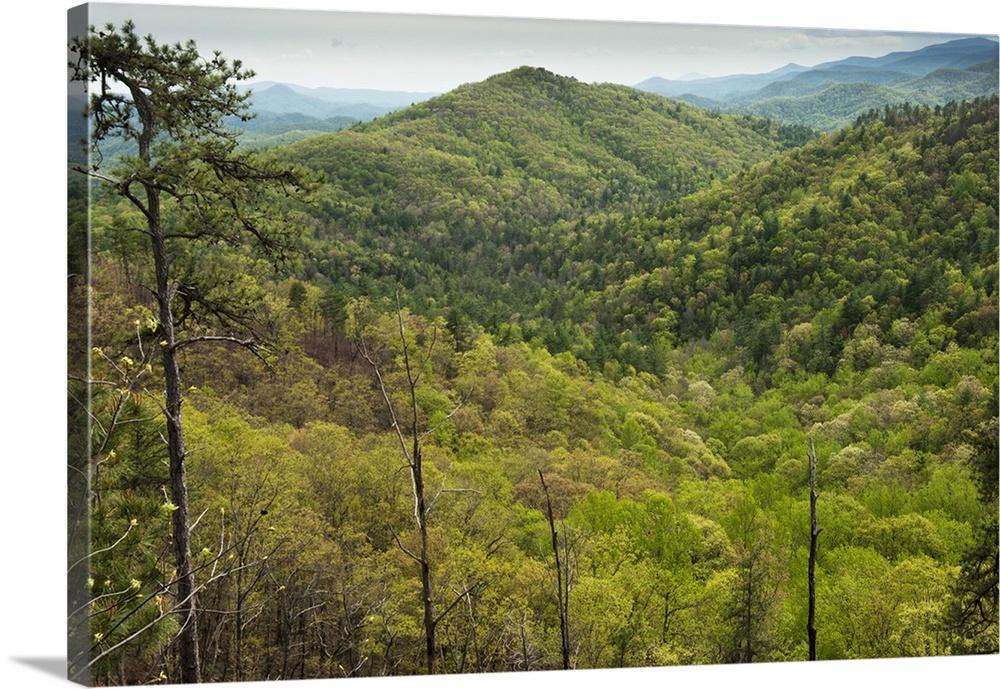Scenics of Blue Ridge Mountains, Northern Georgia, USA.