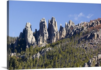 SD, Custer State Park, Needles Highway, Cathedral Spires, granite rock formations