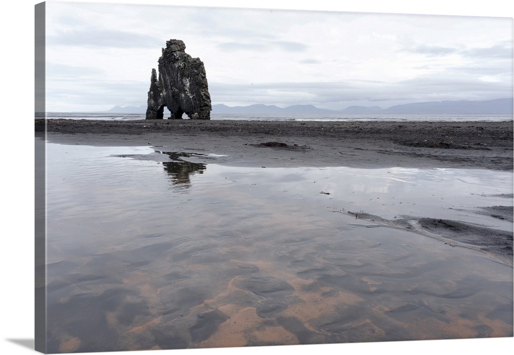 Iceland, Hvitserkur. This sea stack or monolith represents a legend that it was a troll that was turned to stone because i...