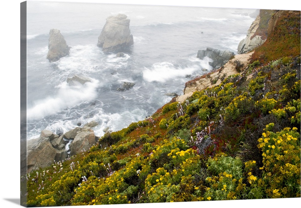 Sea stacks and wildflowers (Garrapata State Park), California
