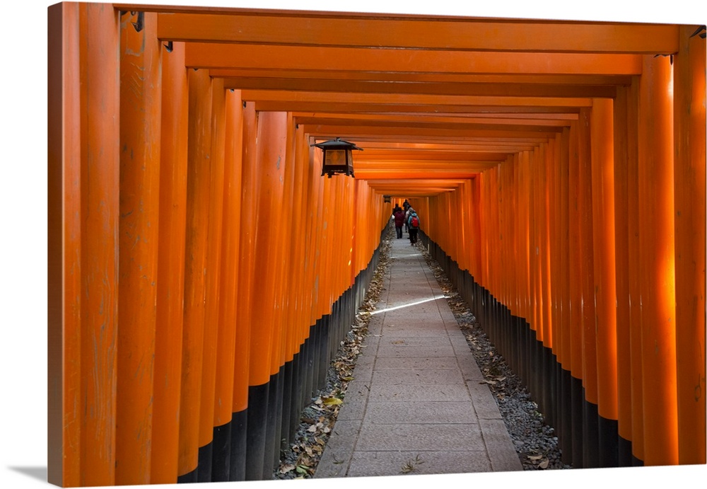 Senbon Torii in Fushimi Inari Shrine, Kyoto, Japan