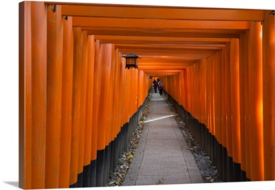 Senbon Torii In Fushimi Inari Shrine, Kyoto, Japan
